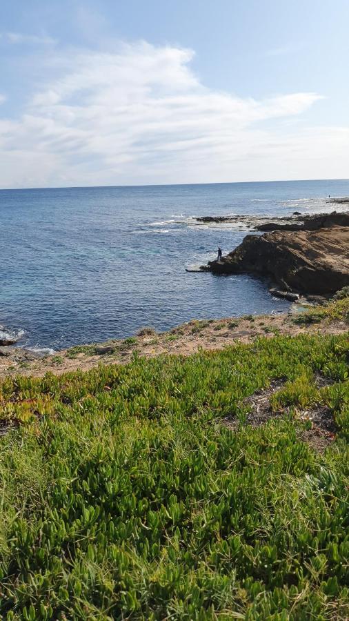 Sunny Apartament Near La Mata Beach 또레비에하 외부 사진